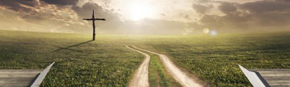 What you are when you follow Jesus